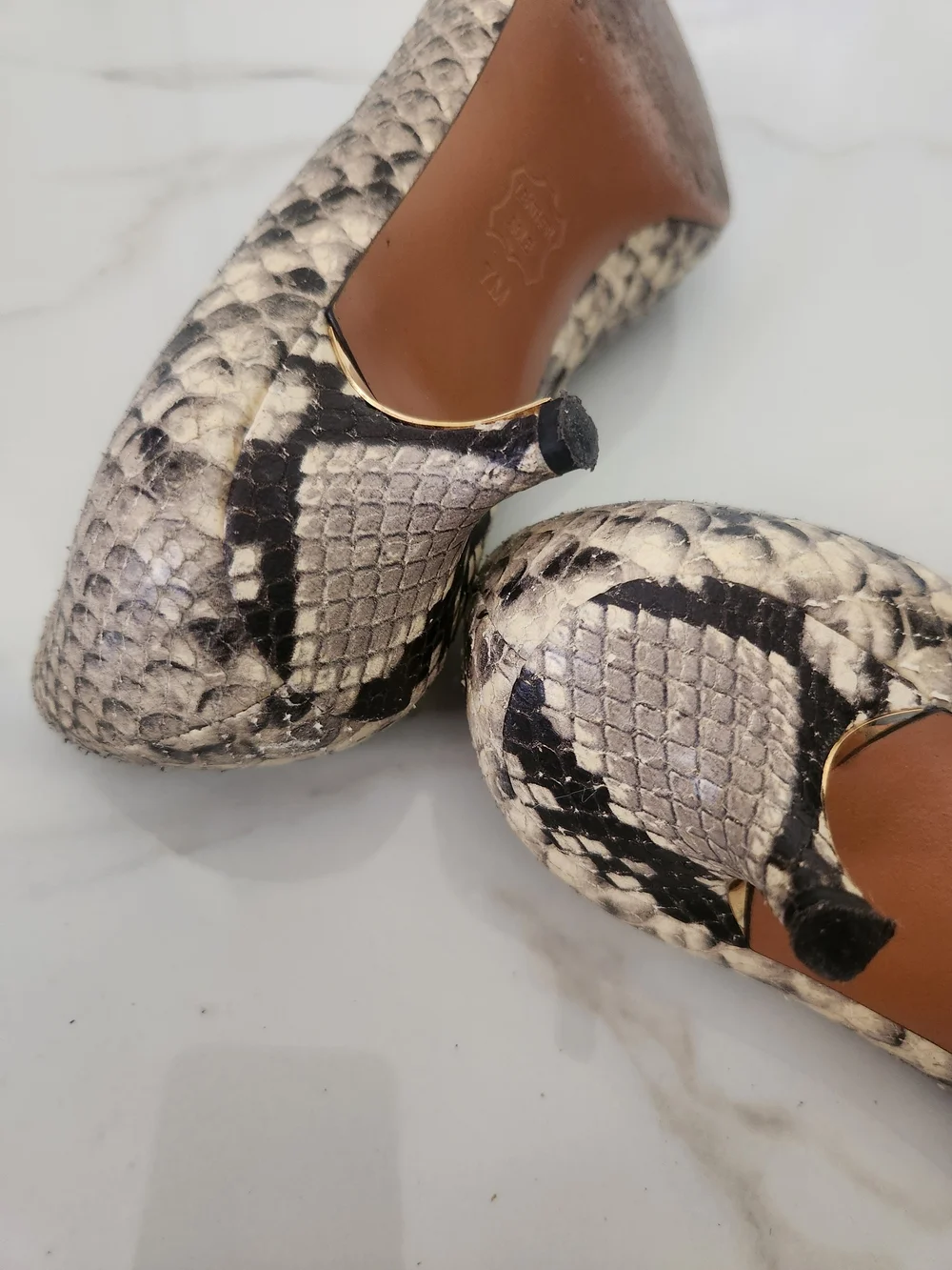Tory Burch Women's Snake-Print Pointed Toe Pumps in Neutral